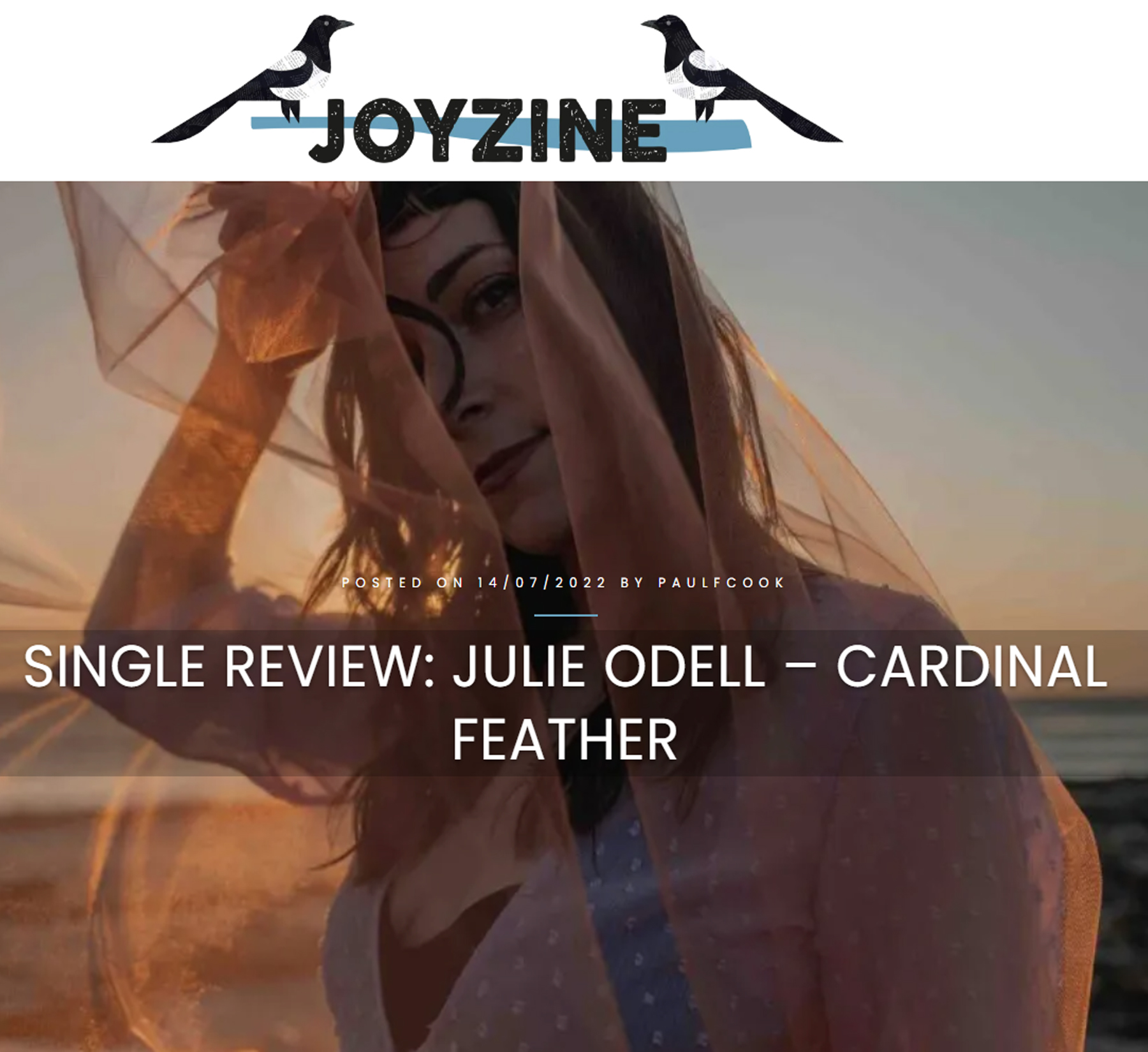 JULIE ODELL – CARDINAL FEATHER