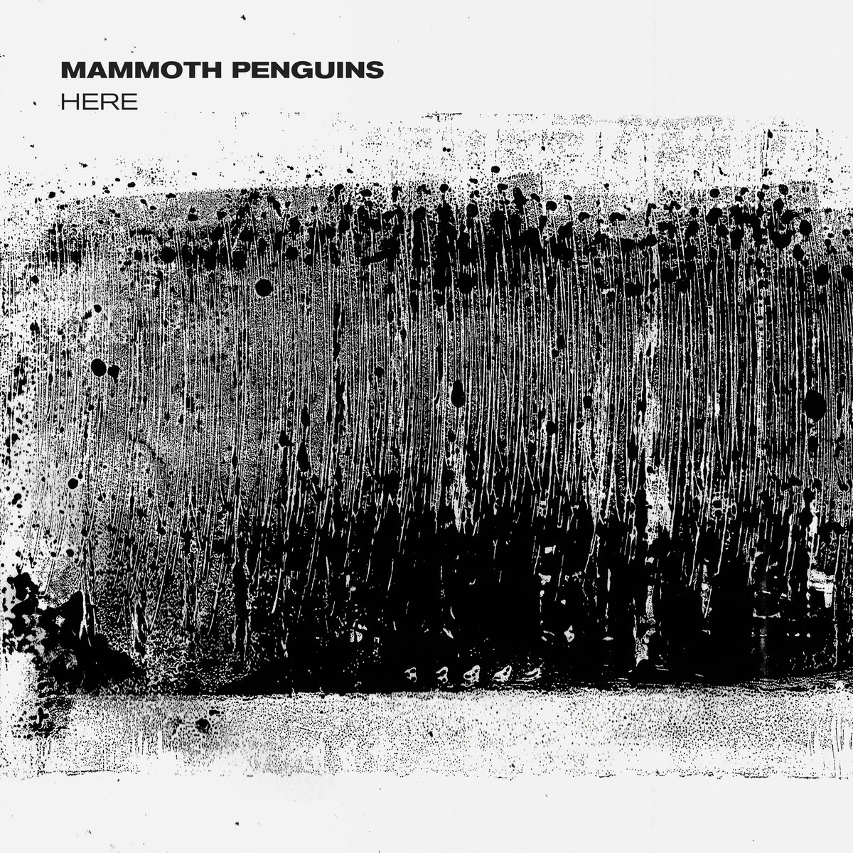 MAMMOTH PENGUINS – HERE